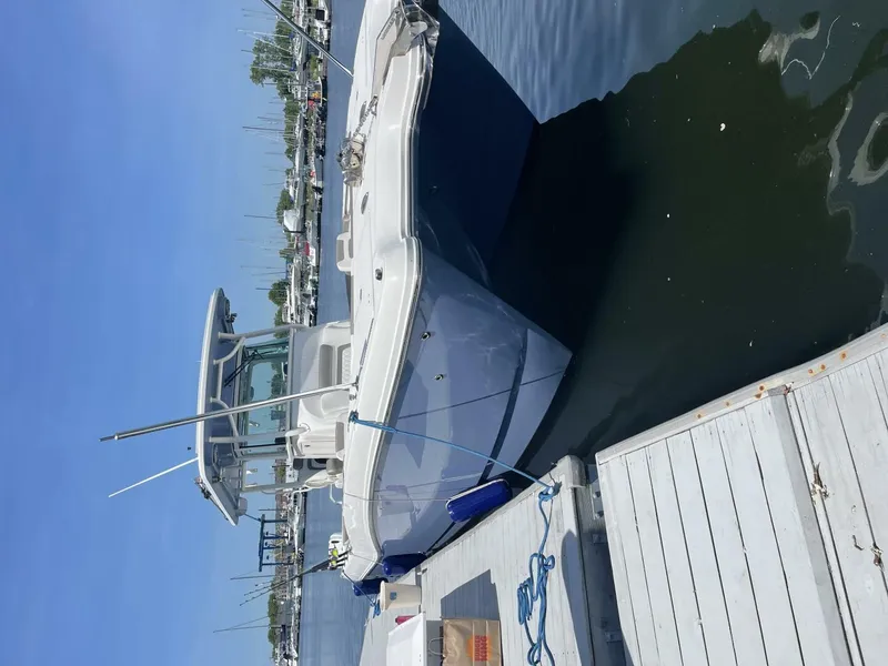 Slide: The Image of World Cat 325 CC 2022 - 3758326