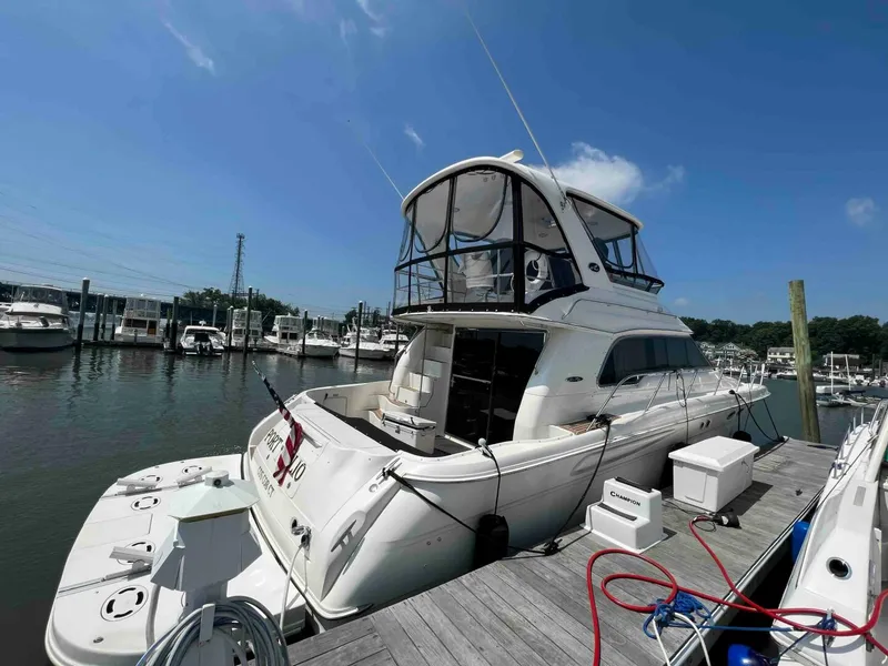 The Image of Sea Ray 480 Sedan  Bridge 2001 - undefined