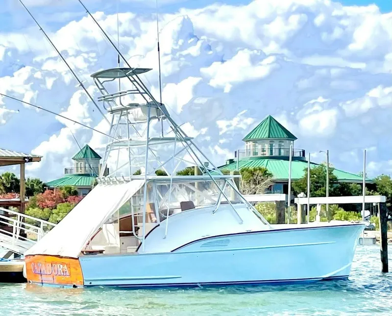 The Image of Profile - 3791236