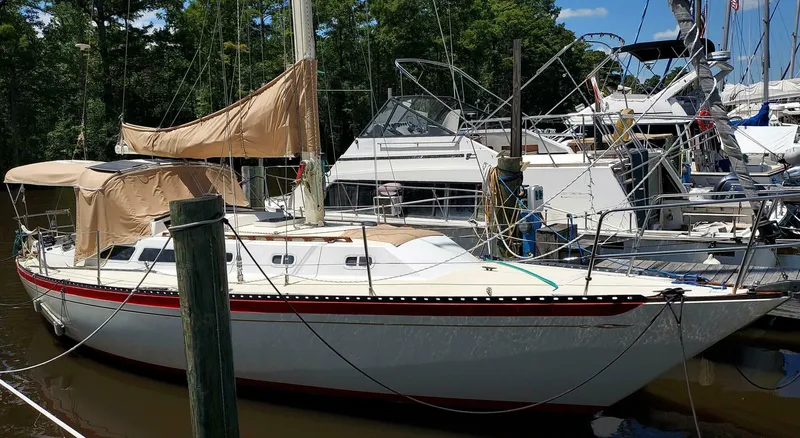 The Image of 1001 Islander 36 - 3832180