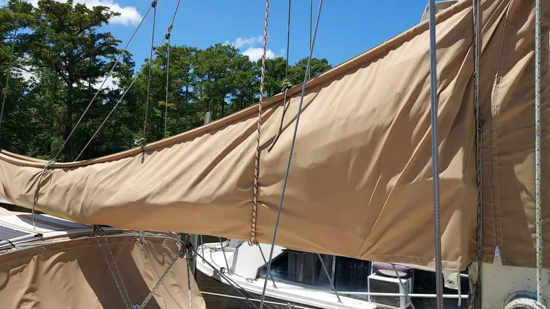 Slide: The Image of 1017 Islander 36 - 3832201