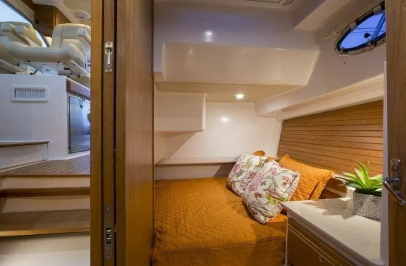 Slide: The Image of Back Cove 41 Express 2026 - 3815851