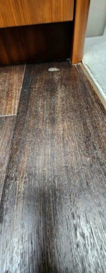 Slide: The Image of Sunseeker Predator 2018 - 3855759