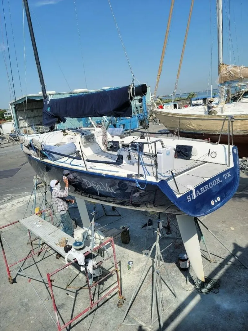 Slide: The Image of Deja Vu New Bottom 2021 - 3864568