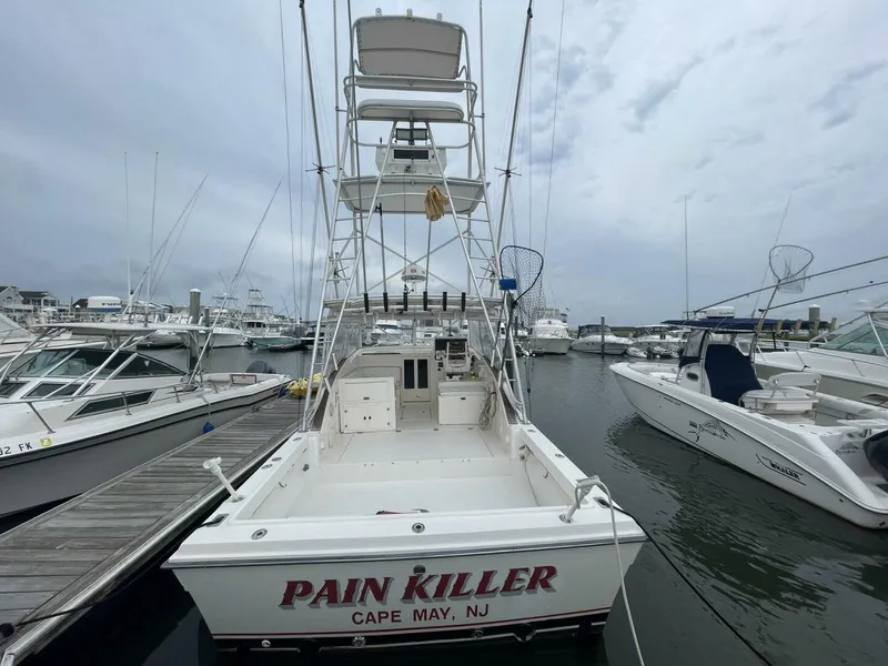 Slide: The Image of Dawson 33 Express 1996 - 3871112