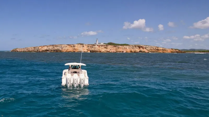 Slide: The Image of Scout 377 LXF 2026 - 5704910