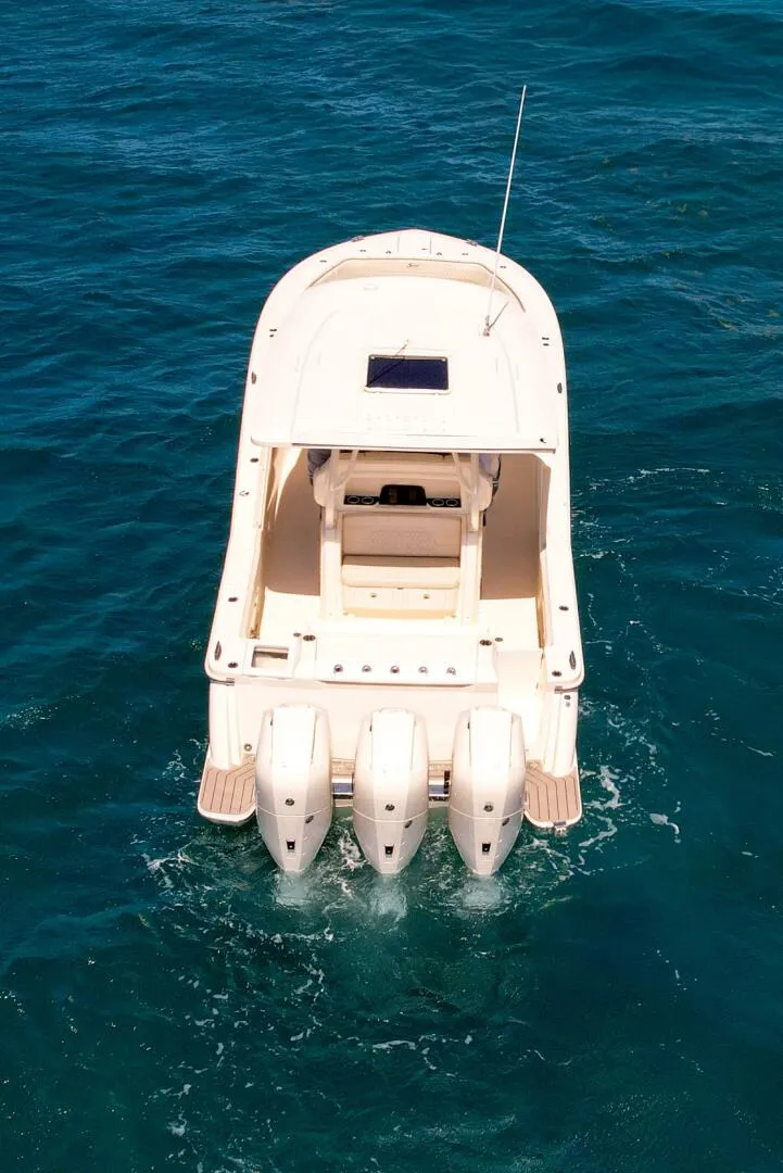 Slide: The Image of Scout 377 LXF 2026 - 5704913