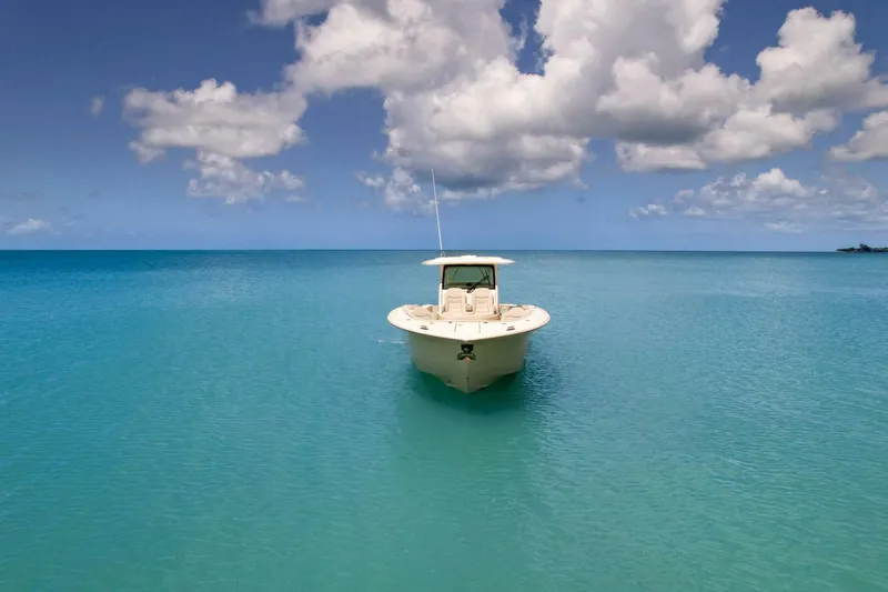 Slide: The Image of Scout 377 LXF 2026 - 5704918