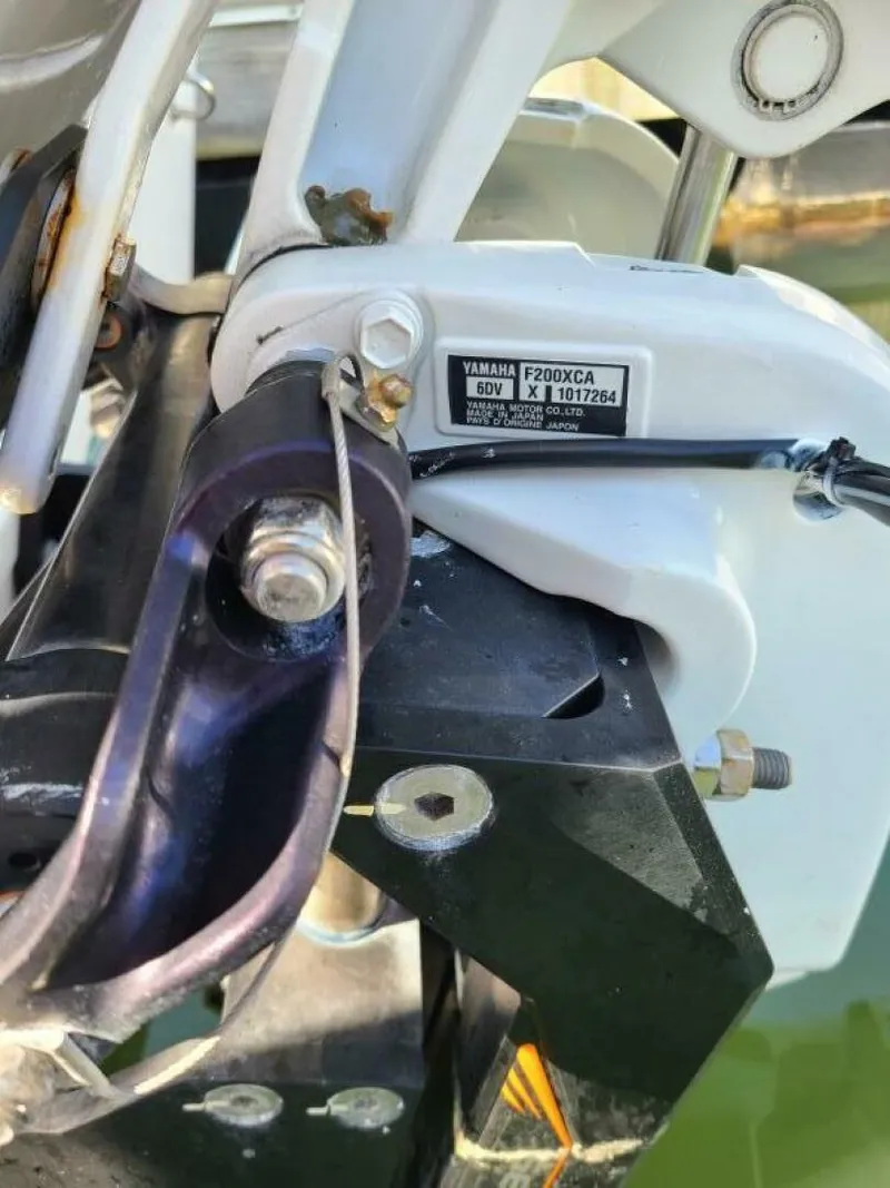 Slide: The Image of Sportsman 227 Masters 2021 - 3888789