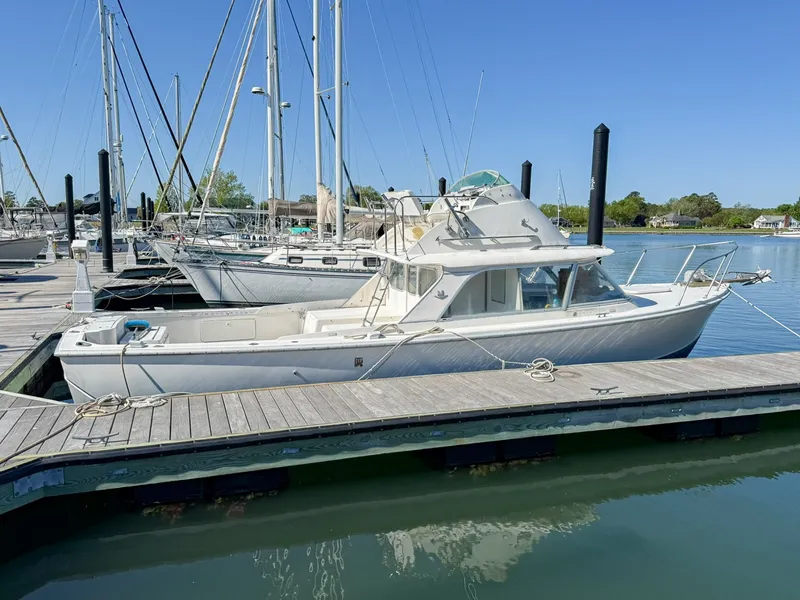 The Image of Profile Starboard  - 6055727