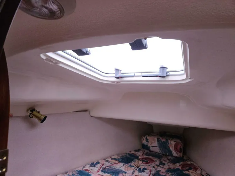 Slide: The Image of Hunter 336 1996 - 3938366