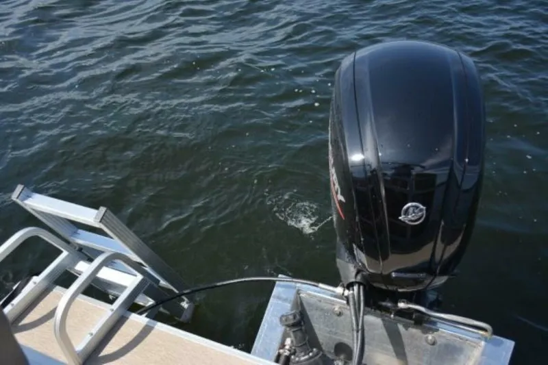 Slide: The Image of Starcraft LX 20 R 2024 - 3911371