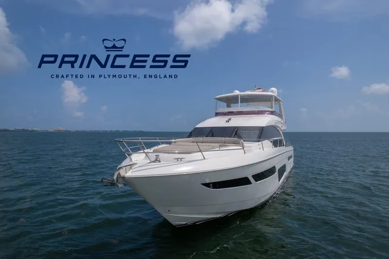 Slide: The Image of Princess F70 2021 - 7219766