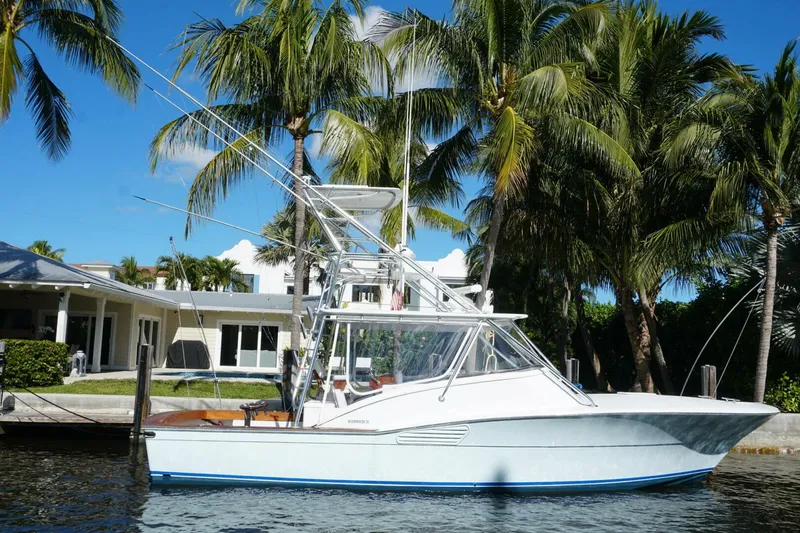 The Image of Scopinich 35 Express 2010 - 5871196