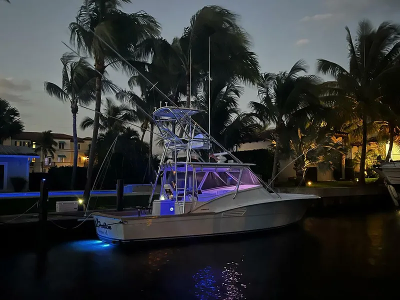 Slide: The Image of Scopinich 35 Express 2010 - 5871228