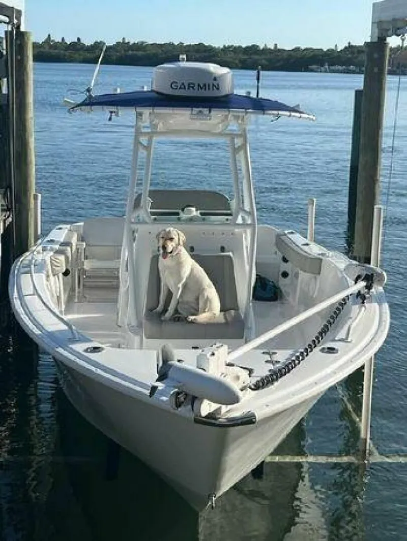 Slide: The Image of Cape Horn 22 OS 2021 - 3987889