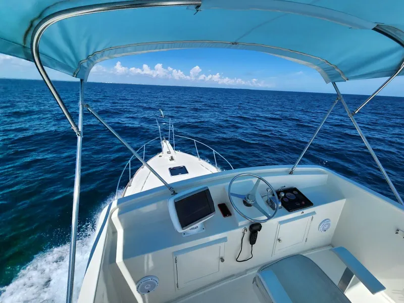 Slide: The Image of Wilbur 38 1983 - 3947042