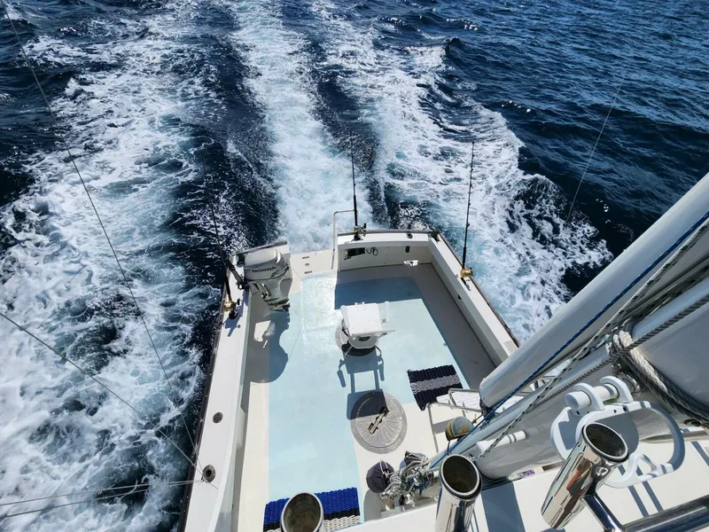 Slide: The Image of Wilbur 38 1983 - 3947046