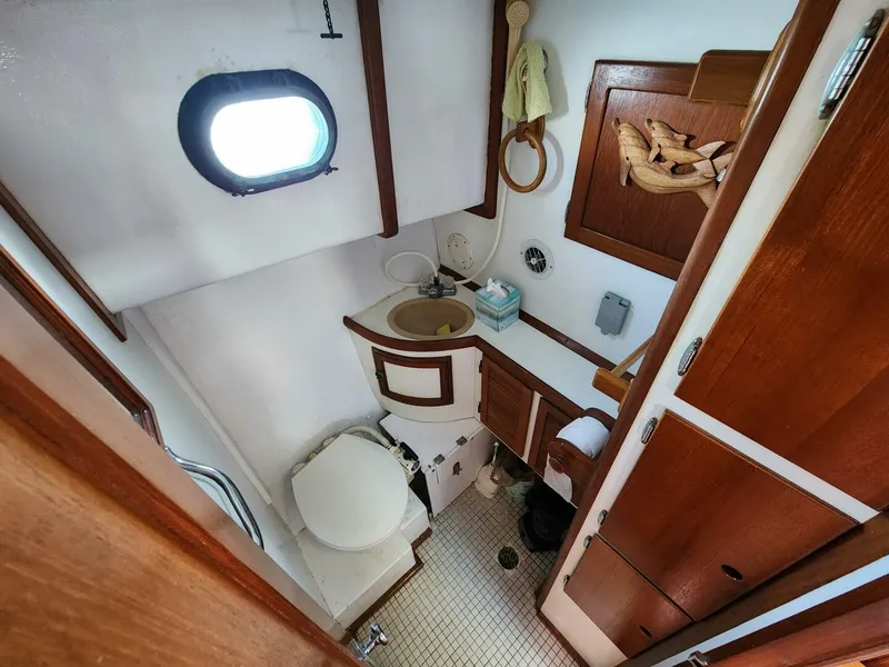 Slide: The Image of Wilbur 38 1983 - 3947062