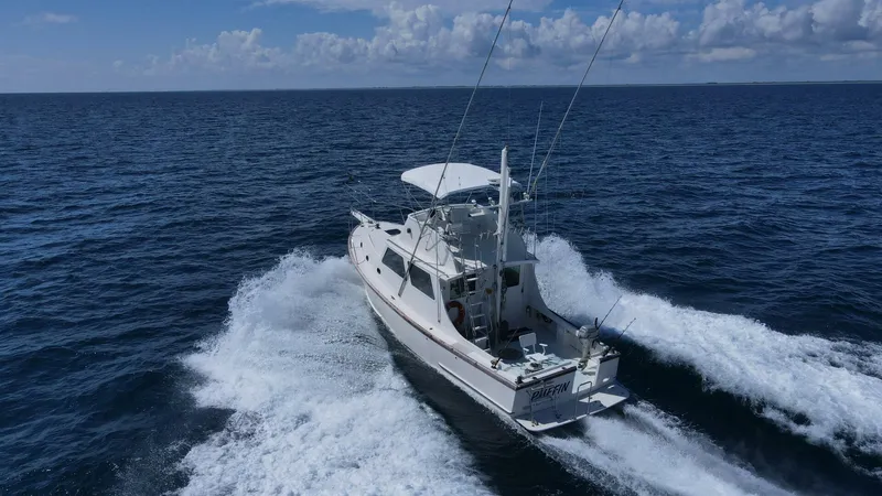 Slide: The Image of Wilbur 38 1983 - 3947064