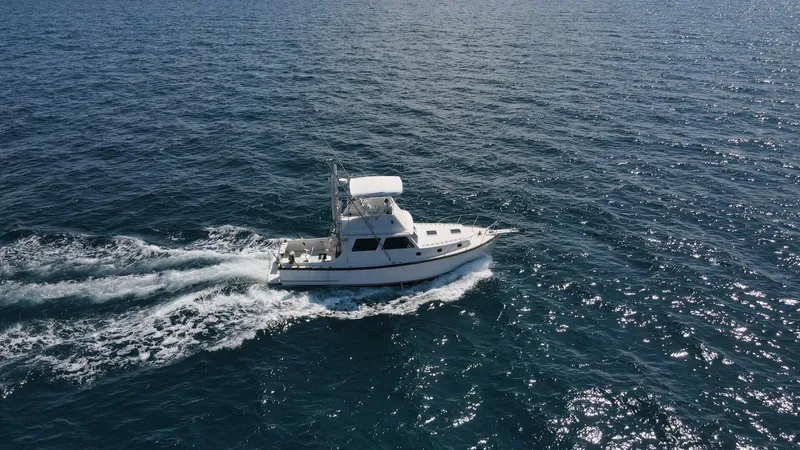 Slide: The Image of Wilbur 38 1983 - 3947065