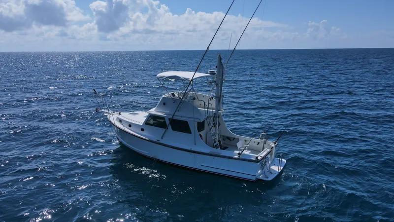 Slide: The Image of Wilbur 38 1983 - 3947026