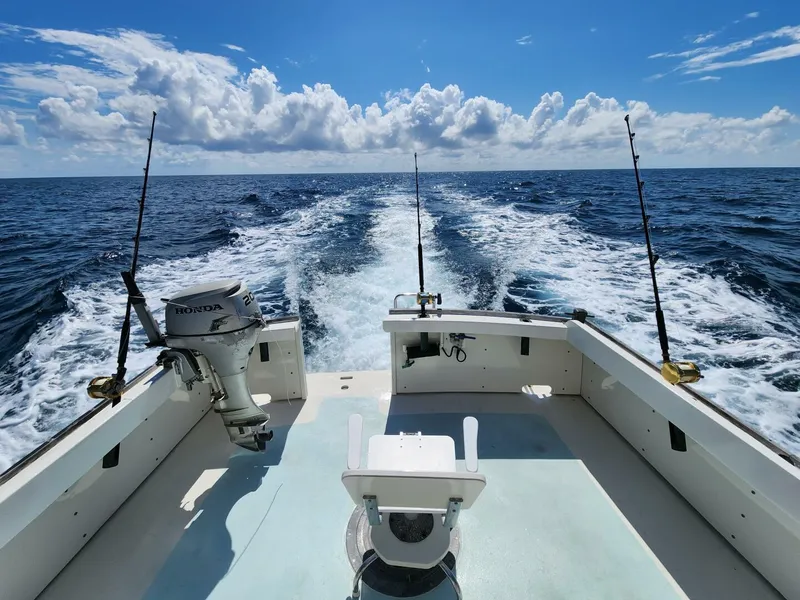 Slide: The Image of Wilbur 38 1983 - 3947029