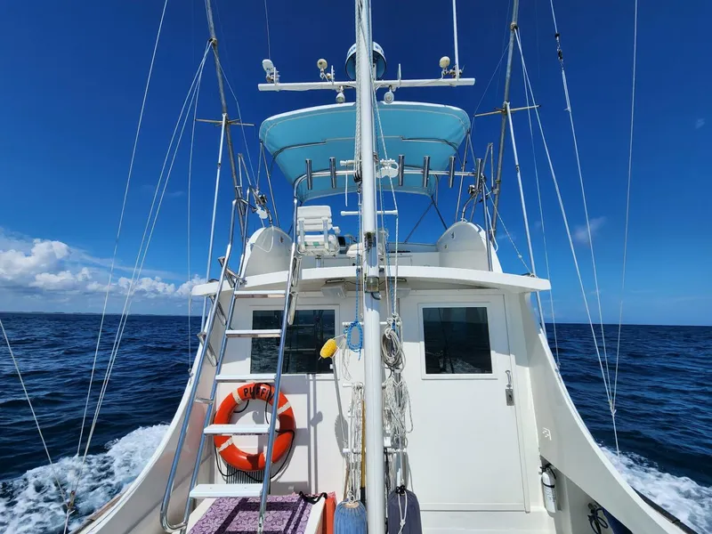 Slide: The Image of Wilbur 38 1983 - 3947032