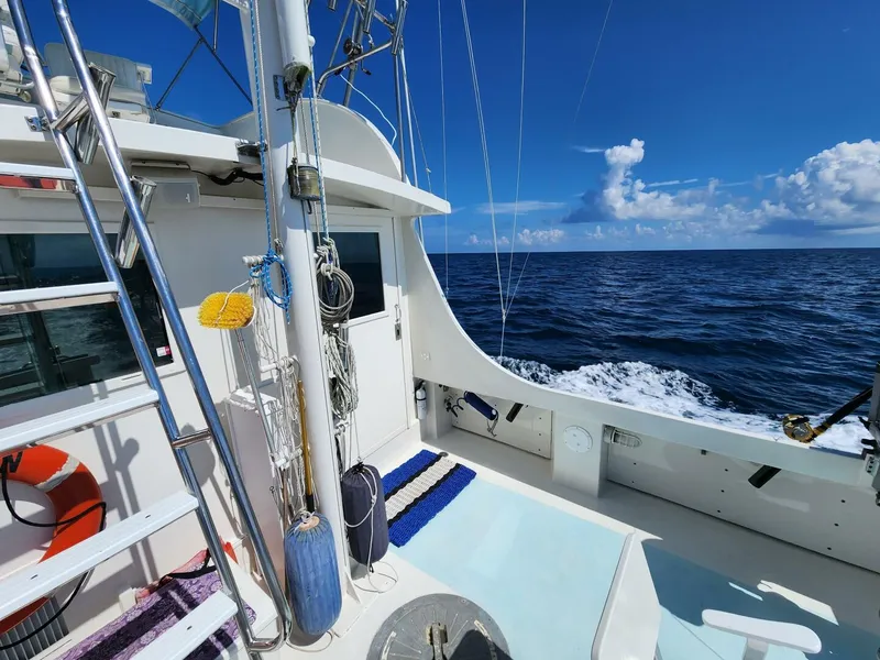 Slide: The Image of Wilbur 38 1983 - 3947035