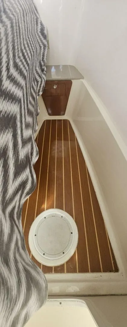 Slide: The Image of World Cat 320 EC 2008 - 4940351