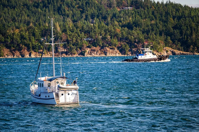 Slide: The Image of Diesel Duck 41-Plus 2009 - 5753306