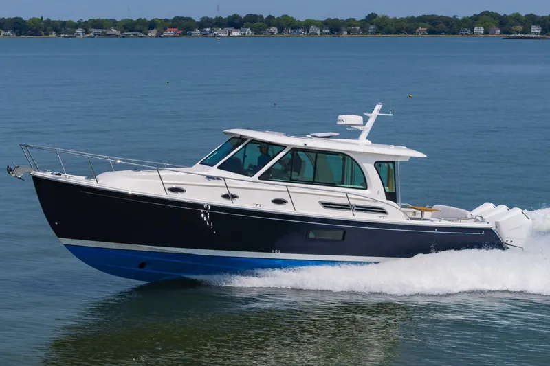 The Image of 39BackCove3902025008 - 5375623