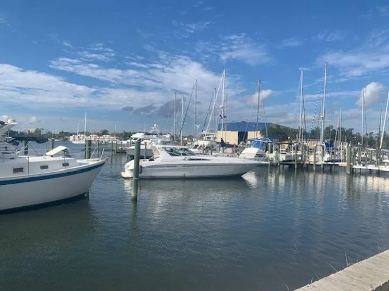 Slide: The Image of Docking - 3994301