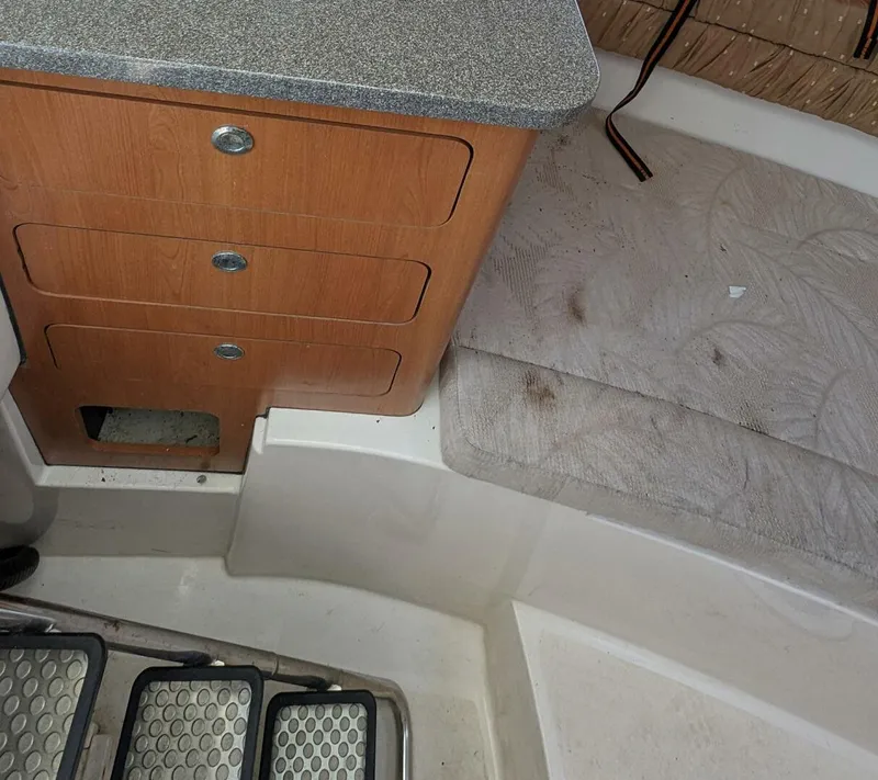 Slide: The Image of Cobia 256 Express 2009 - 3995858