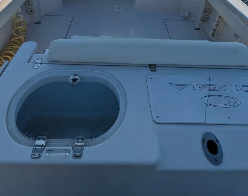 Slide: The Image of Cobia 256 Express 2009 - 3995872