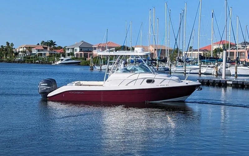 Slide: The Image of Cobia 256 Express 2009 - 3995879