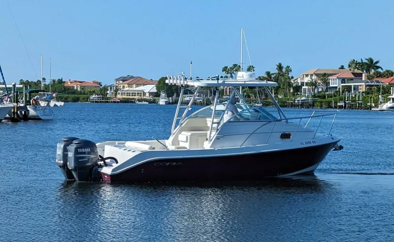 Slide: The Image of Cobia 256 Express 2009 - 3995882