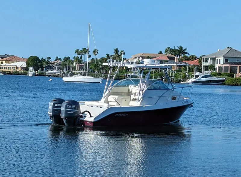 Slide: The Image of Cobia 256 Express 2009 - 3995885