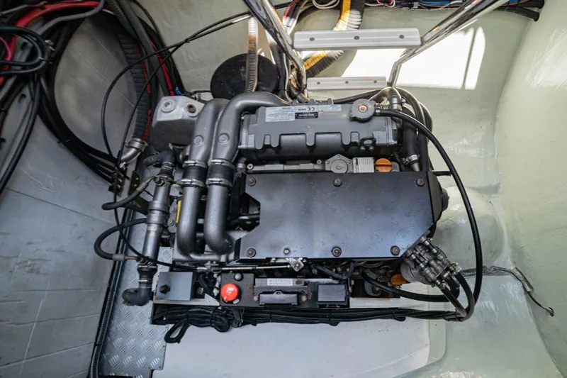 Slide: The Image of Leopard 58 2018 - 3996551