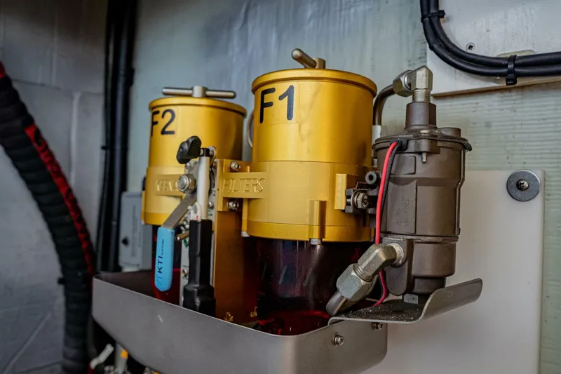 Slide: The Image of Leopard 58 2018 - 3996552