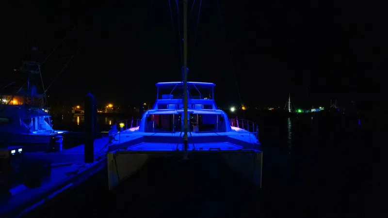 Slide: The Image of Leopard 58 2018 - 3996560