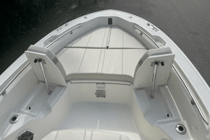 Slide: The Image of Boston Whaler 250 Dauntless 2025 - 10