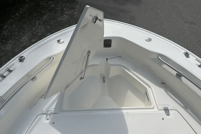 Slide: The Image of Boston Whaler 250 Dauntless 2025 - 12