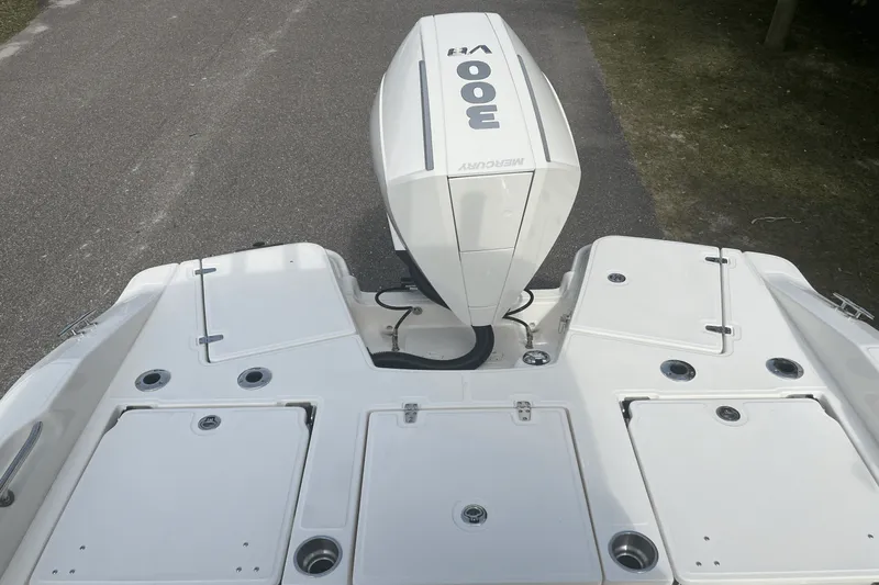 Slide: The Image of Boston Whaler 250 Dauntless 2025 - 2