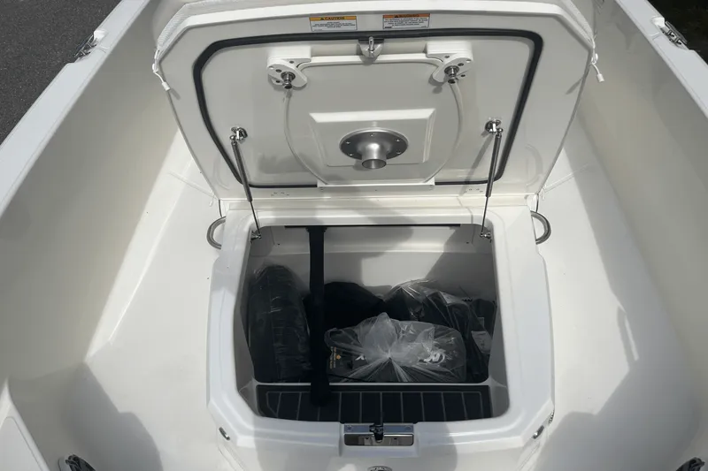 Slide: The Image of Boston Whaler 250 Dauntless 2025 - 8