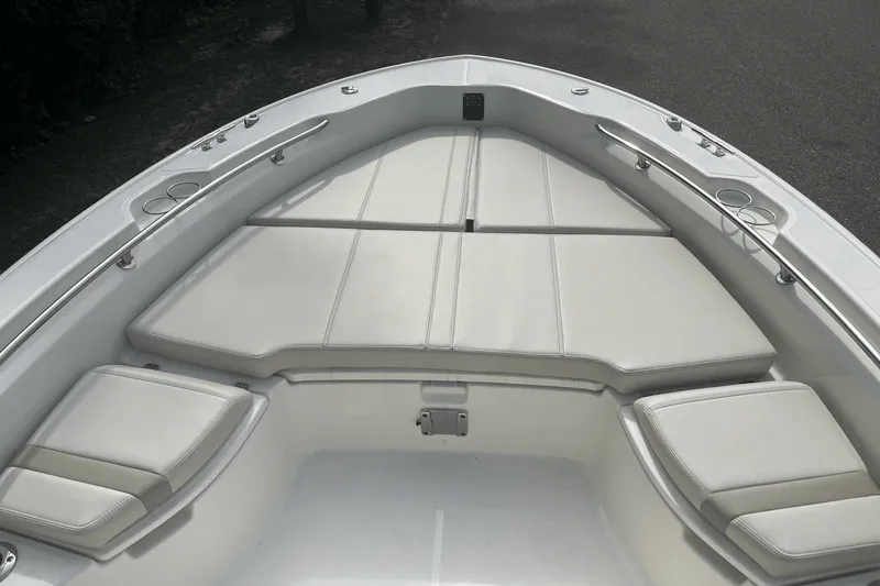 Slide: The Image of Boston Whaler 250 Dauntless 2025 - 9