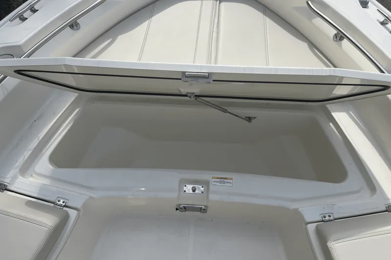 Slide: The Image of Boston Whaler 250 Dauntless 2025 - 11