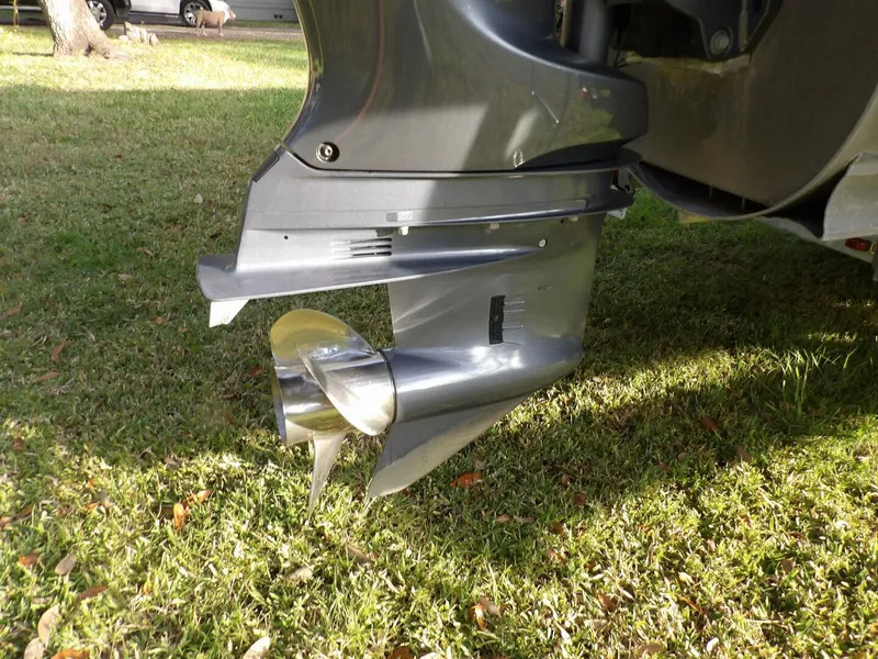 Slide: The Image of Avalon 2385 Catalina QL SWS 2020 - 4028358