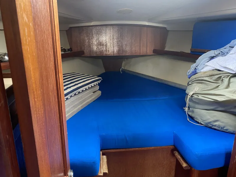 Slide: The Image of Hunter 30-2 1989 - 4038941