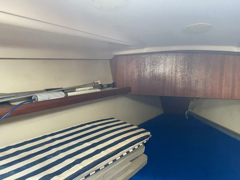 Slide: The Image of Hunter 30-2 1989 - 4038942